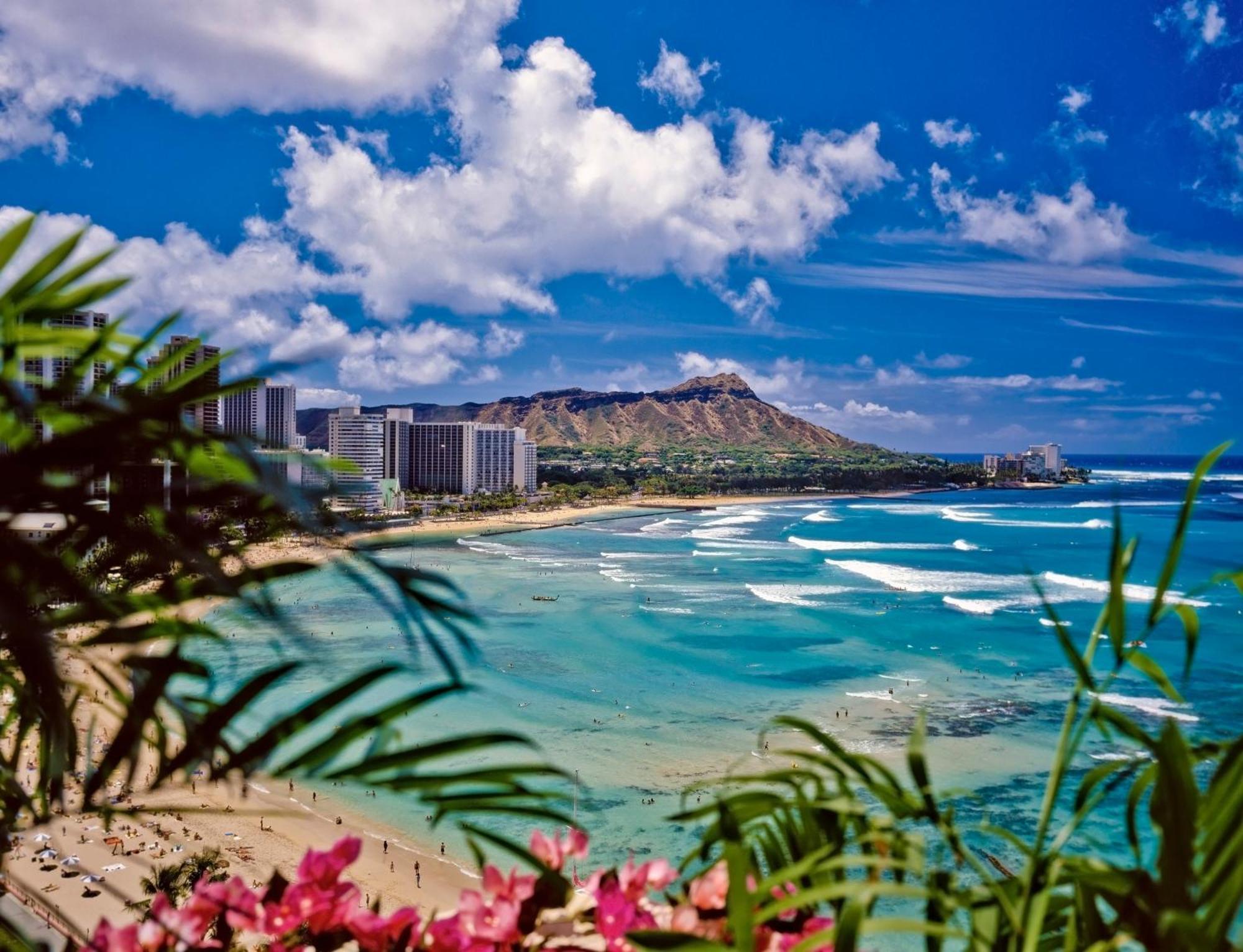 Mountain View Condo W/ King-Size Bed, Free Parking Honolulu Extérieur photo